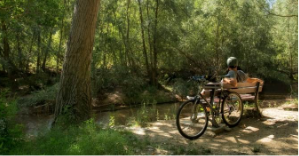 Seis rutas en bicicleta para hacer en familia