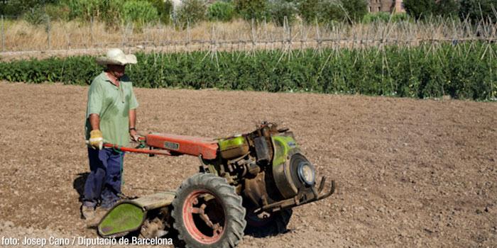 Productos de la tierra